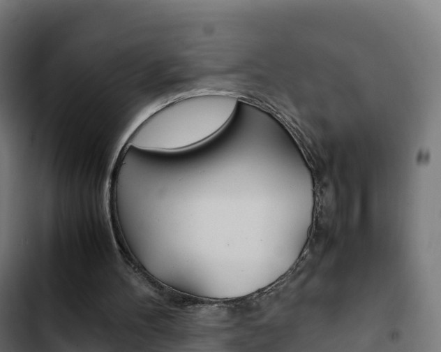 X0000103450100200809121135