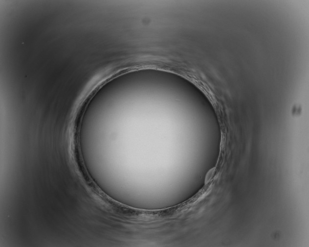 X0000103450101200809121135