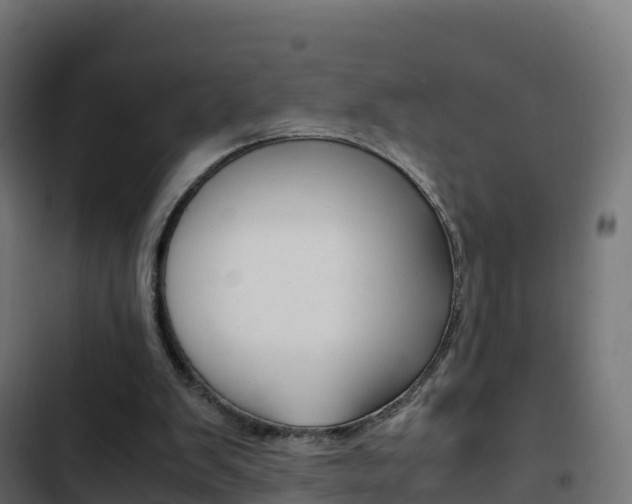 X0000103450103200809121135