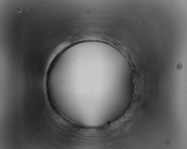 X0000103450104200809121135