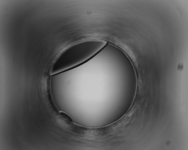 X0000103450105200809121135
