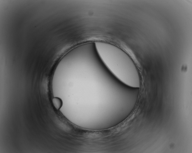 X0000103450106200809121135