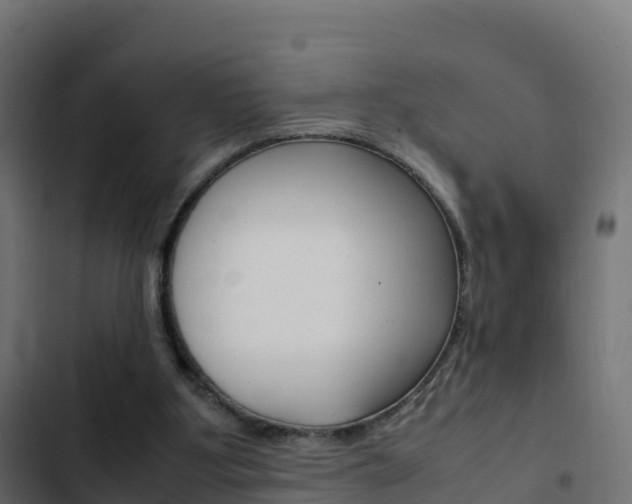 X0000103450107200809121135