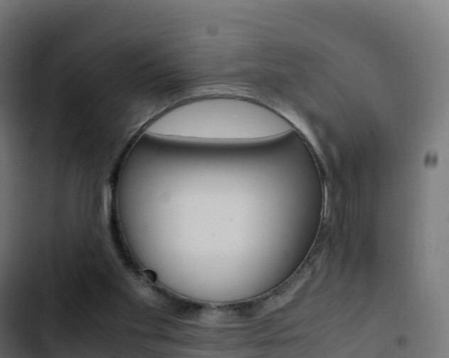 X0000103450109200809121135