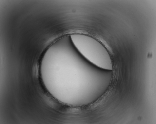 X0000103450110200809121135