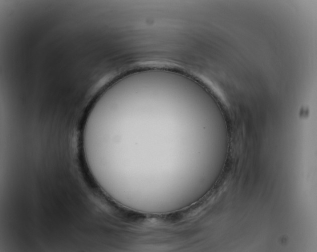 X0000103450111200809121135
