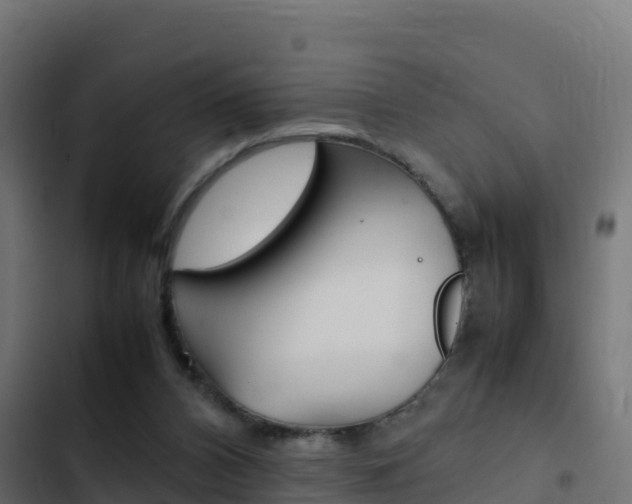 X0000103450112200809121135