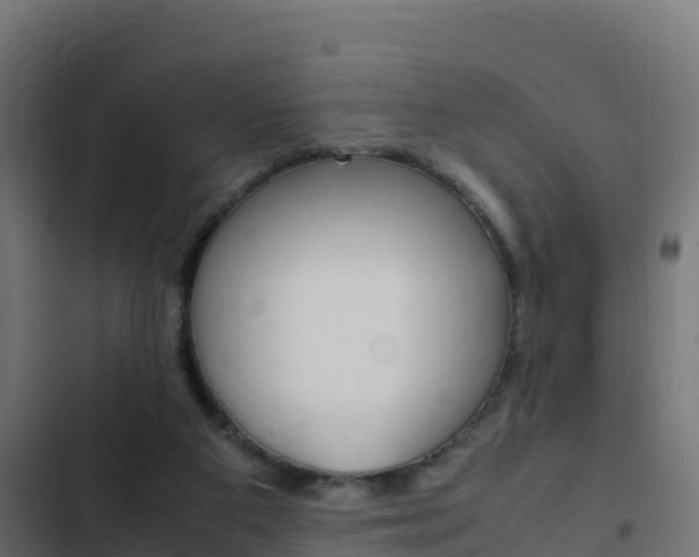 X0000103450113200809121135