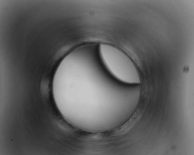 X0000103450116200809121135