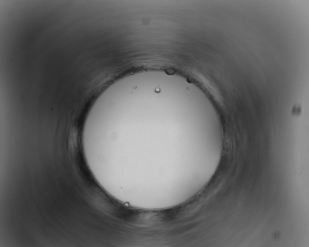 X0000103450117200809121135