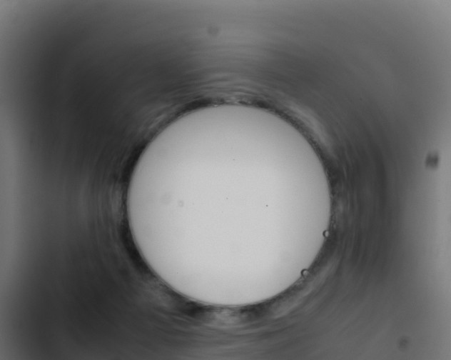 X0000103450121200809121135
