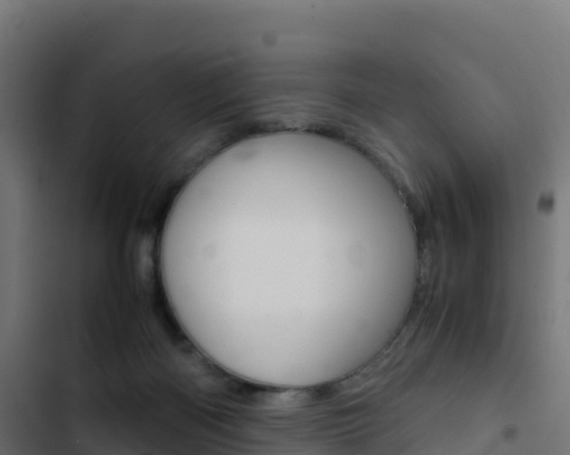 X0000103450122200809121135