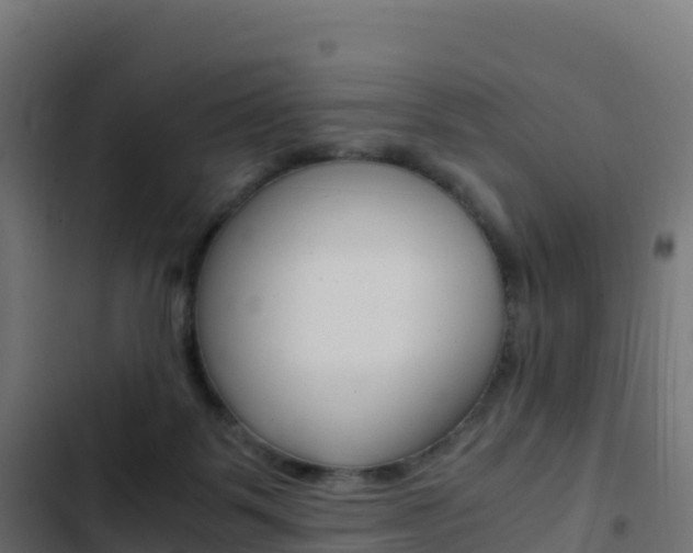 X0000103450123200809121135