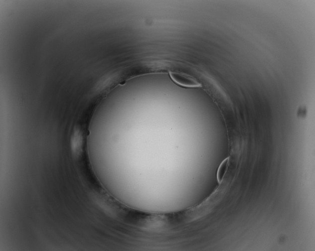 X0000103450124200809121135