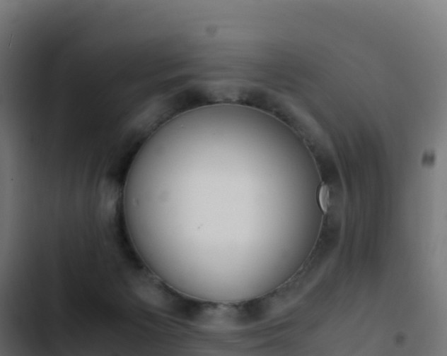 X0000103450125200809121135