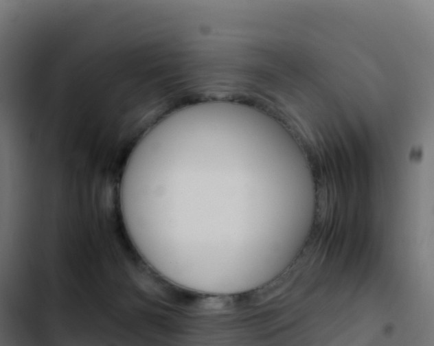X0000103450126200809121135