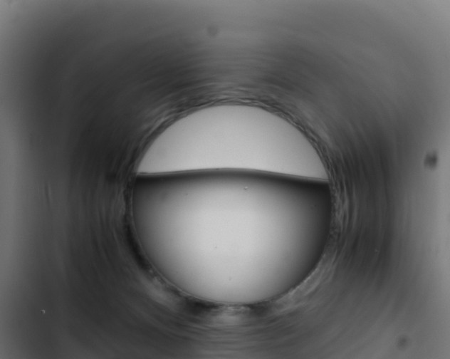 X0000103450128200809121135