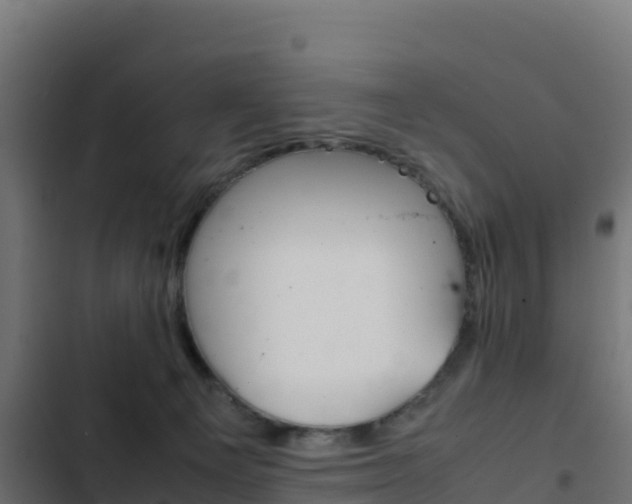 X0000103450129200809121135