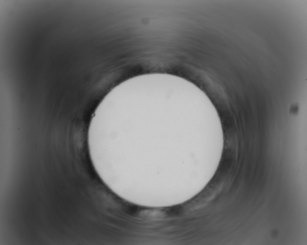 X0000103450133200809121135