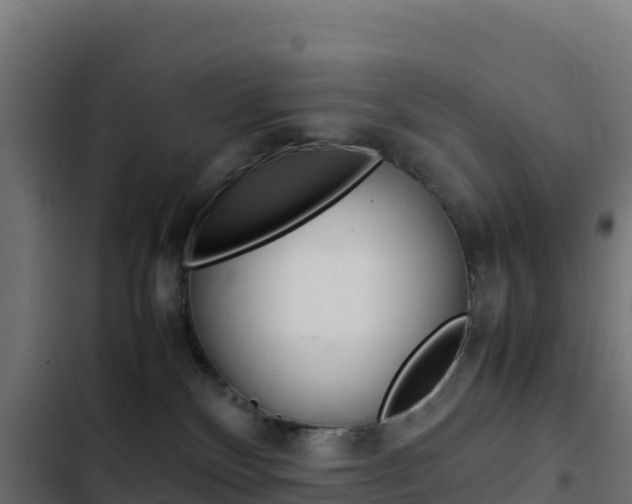 X0000103450136200809121135