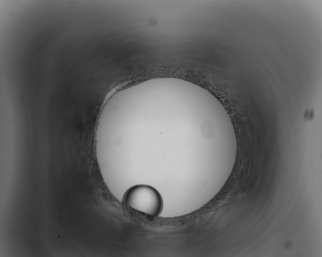 X0000103450144200809121134