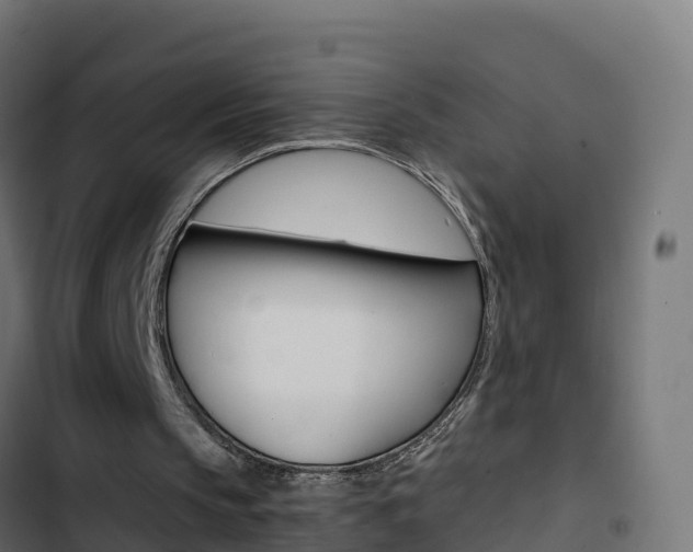 X0000103450145200809121134