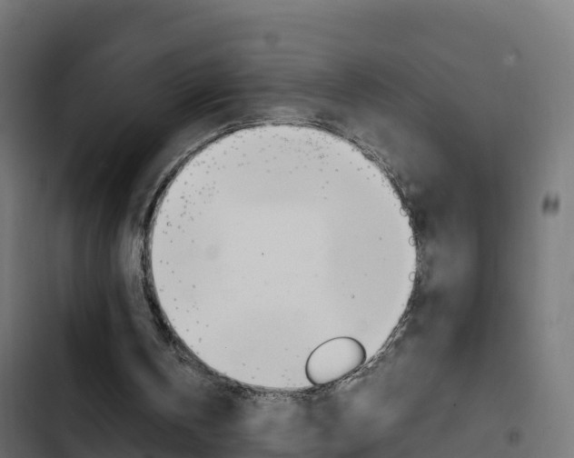 X0000103450146200809121134