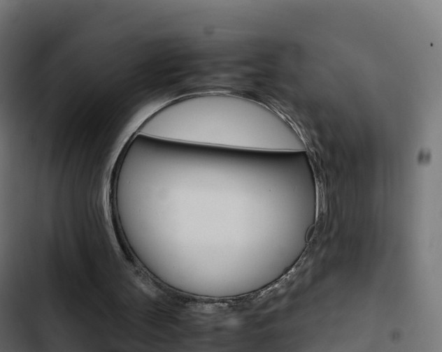 X0000103450147200809121134