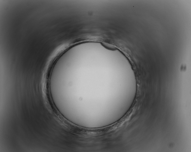 X0000103450149200809121134