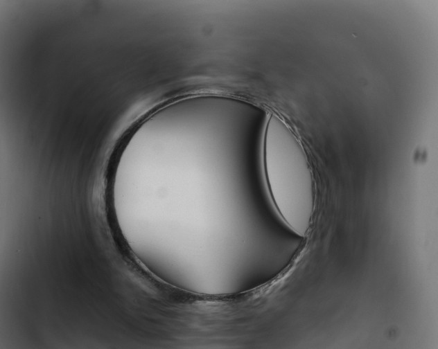 X0000103450150200809121134