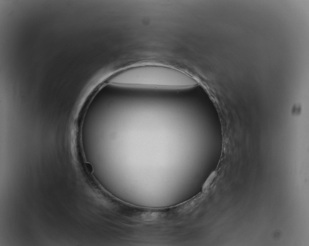 X0000103450152200809121134
