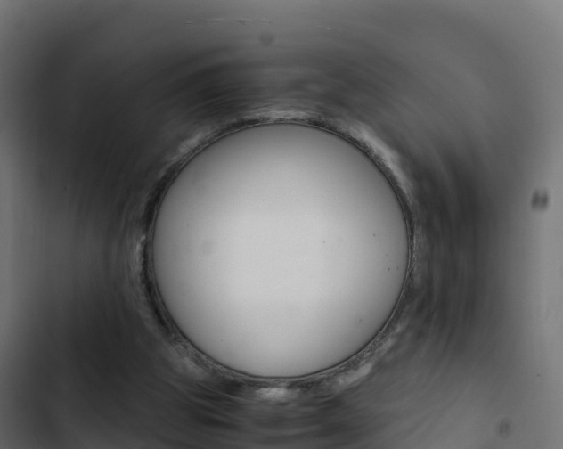 X0000103450153200809121134