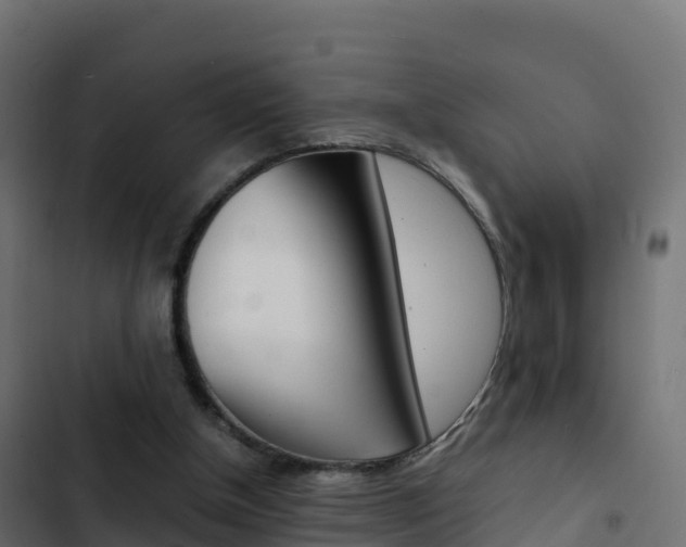 X0000103450154200809121134