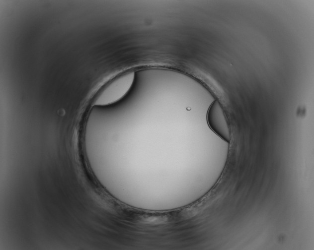 X0000103450155200809121134