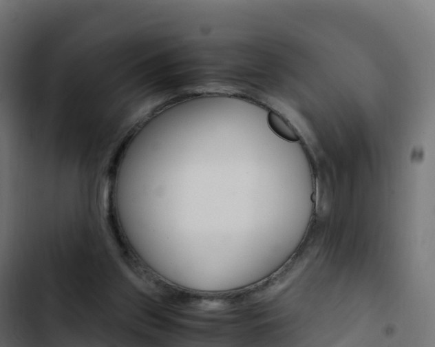 X0000103450157200809121134