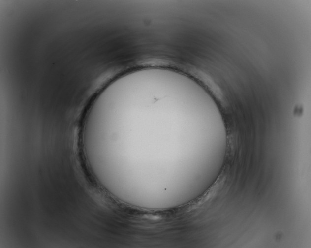 X0000103450159200809121134