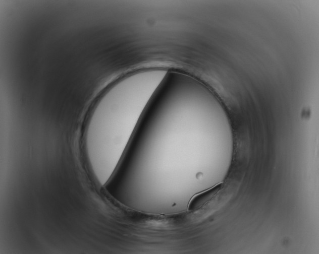 X0000103450160200809121134