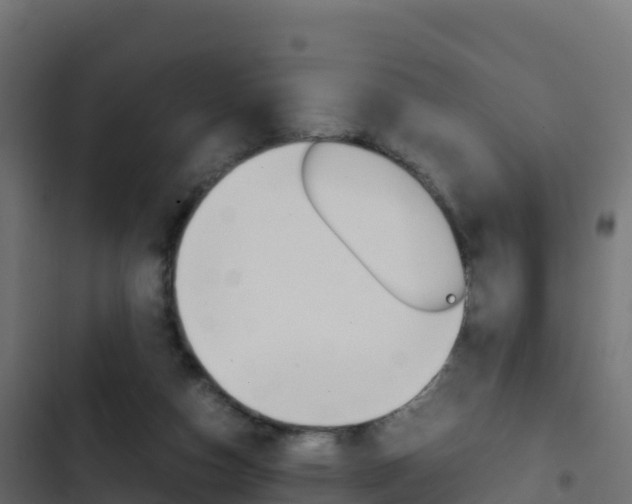 X0000103450162200809121134