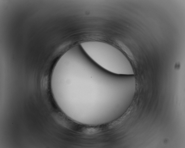 X0000103450163200809121134