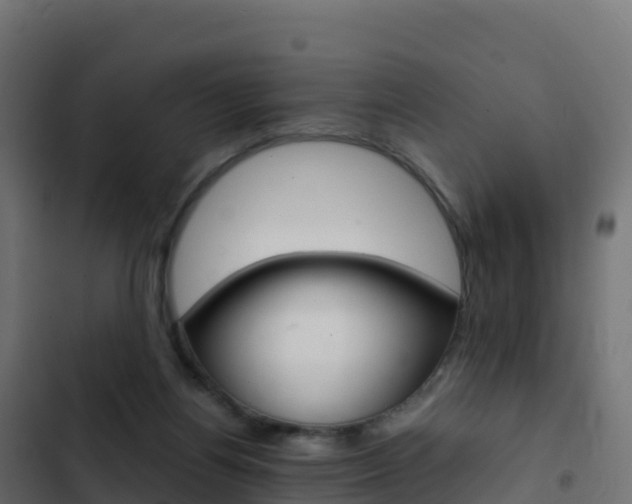 X0000103450164200809121134
