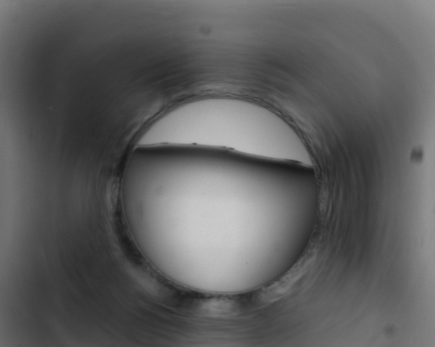 X0000103450168200809121134