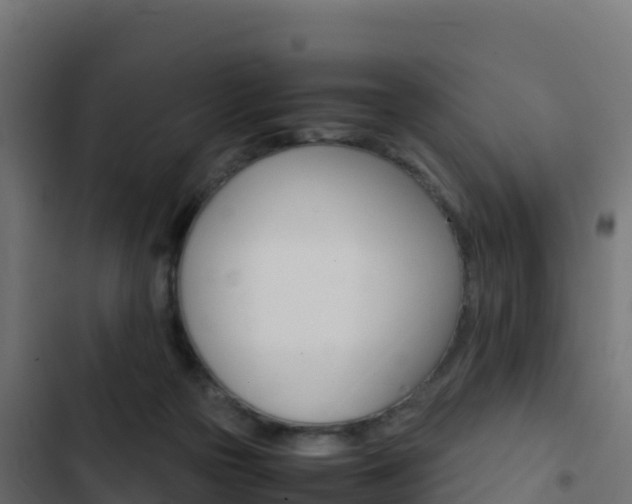X0000103450169200809121134