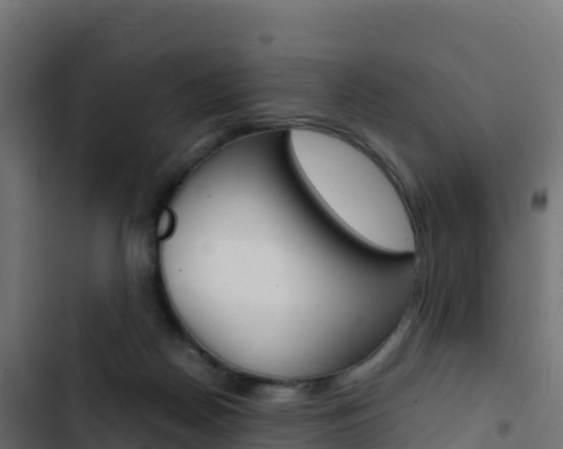 X0000103450170200809121134
