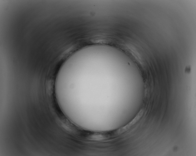 X0000103450171200809121134