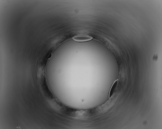 X0000103450172200809121134