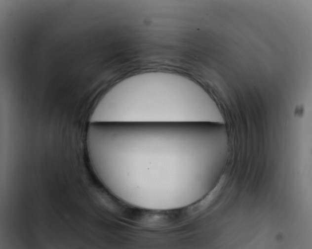 X0000103450174200809121134