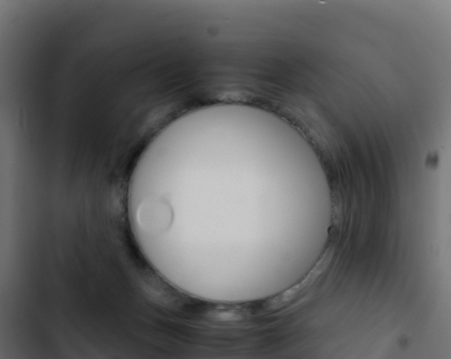 X0000103450175200809121134