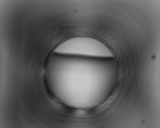 X0000103450176200809121134
