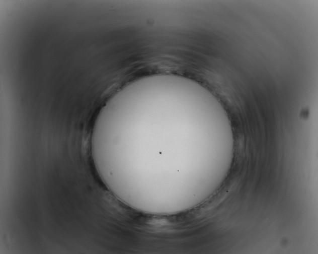 X0000103450177200809121134
