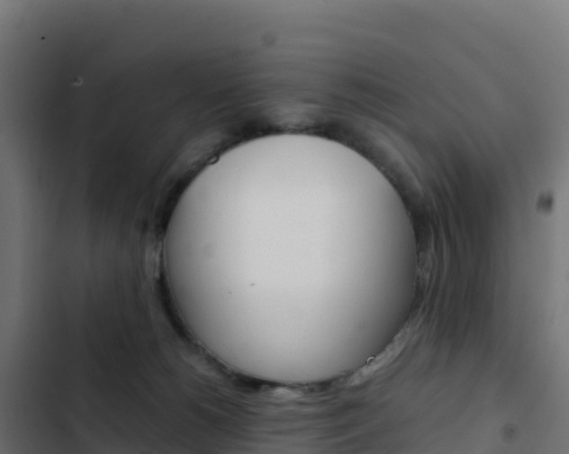 X0000103450180200809121134